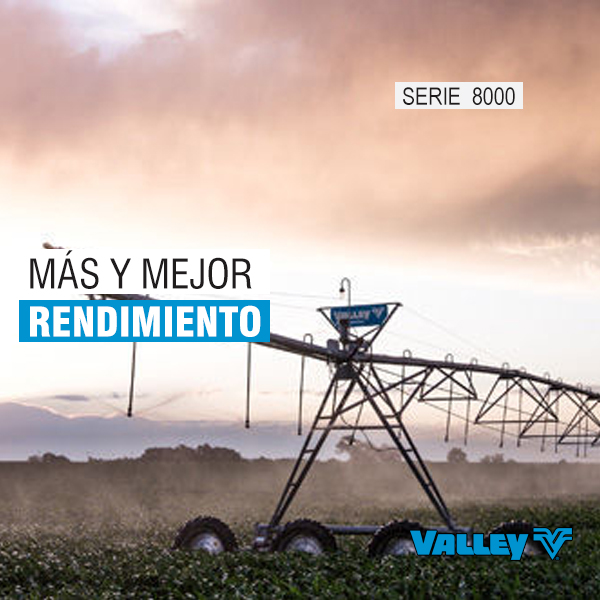SERIE 8000