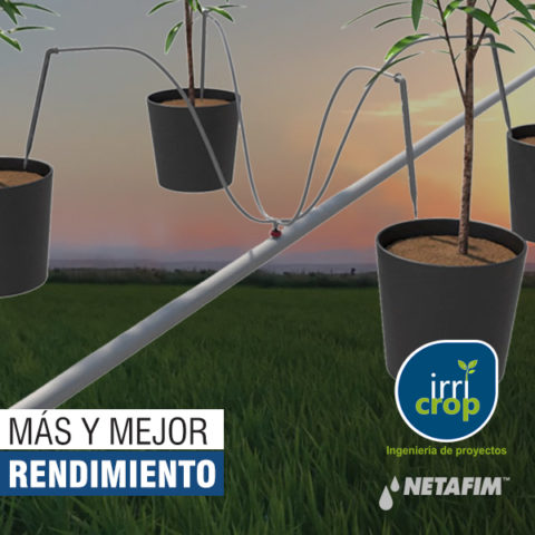 Kit gotero tipo araña 4 salidas